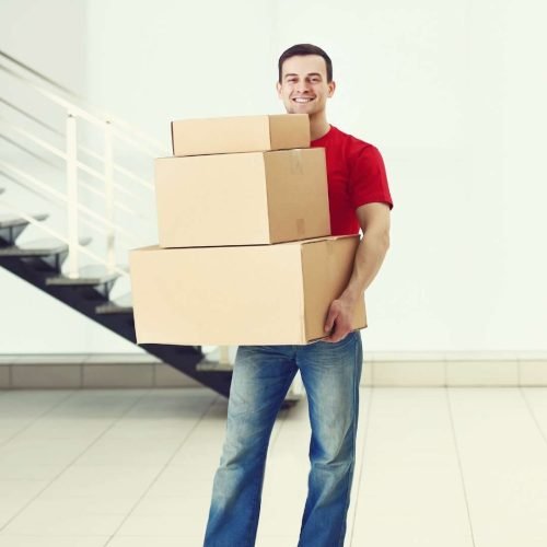 packer mover-about